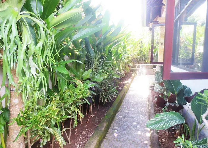 Guest house Peteka 3*